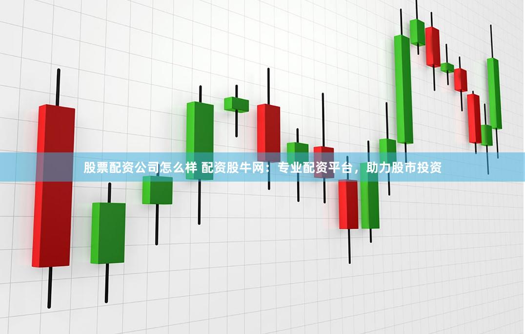 股票配资公司怎么样 配资股牛网：专业配资平台，助力股市投资